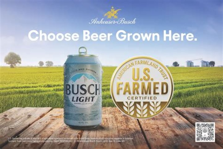 Is Pacifico Anheuser-Busch: The Ultimate Authority On Ownership Unraveled