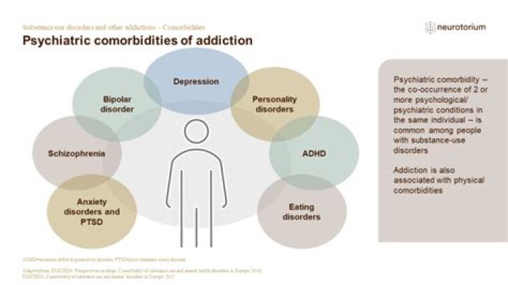 Lauren Tewes's Struggle With Drug Addiction: A Cautionary Tale