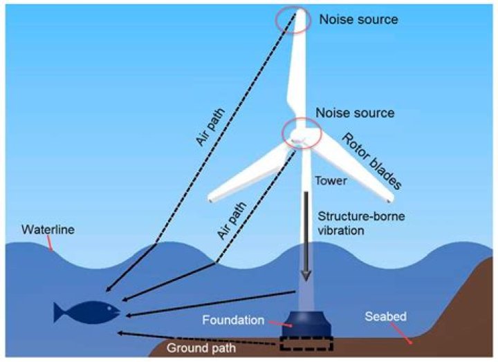 Understanding Wind Widows: The Unseen Impact Of Wind Energy