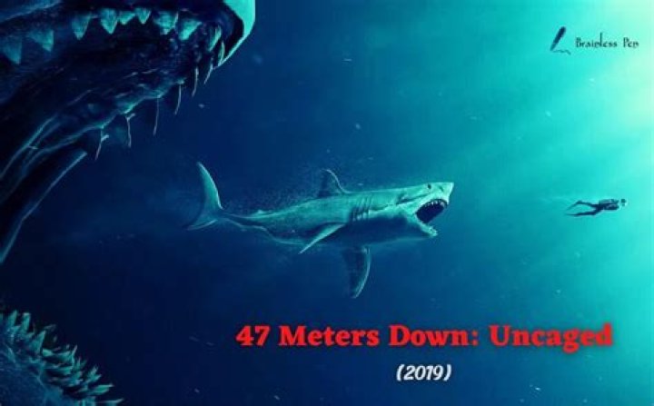Was Sasha's Fate Sealed In "47 Meters Down: Uncaged"? - Spoiler Alert